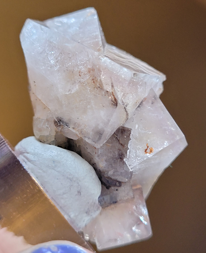 Close-up of a Fluorite crystal from the Bull Vein, Lady Annabella in Co. Durham, England, held by tweezers. The crystal cluster showcases clear and slightly cloudy facets with some internal inclusions, affixed to a small piece of gray putty or clay. The background is blurred and brownish. This stunning specimen is brought to you by The Crystalary.