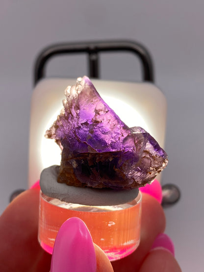 Close-up of a person's hand with pink nails holding a small specimen of The Crystalary's Fluorite- Cave in Rock, Hardin County, Illinois, USA on a clear round base. The fluorite is translucent with a deep purple hue and is backlit, highlighting its intricate and jagged texture, reminiscent of the stunning finds from Hardin County, Illinois.