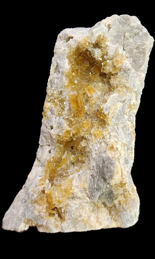 A rough, elongated Fluorite rock from Clay Center, Township of Allen, Ottawa County, Ohio sold by The Crystalary features a mix of white and yellowish crystal formations set against a black background. The exceptionally clear yellow crystals are predominantly clustered towards the center, creating a striking contrast with the surrounding white and gray areas.