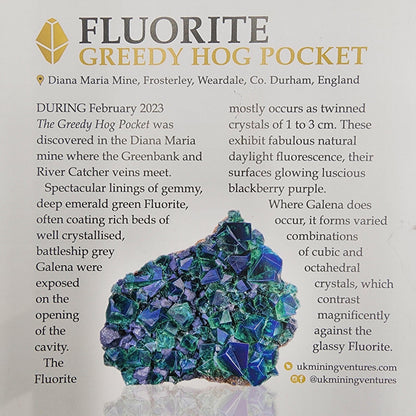 Fluorite, Color Changing, Greedy Hog Pocket, Diana Maria Mine, England - - The Crystalary