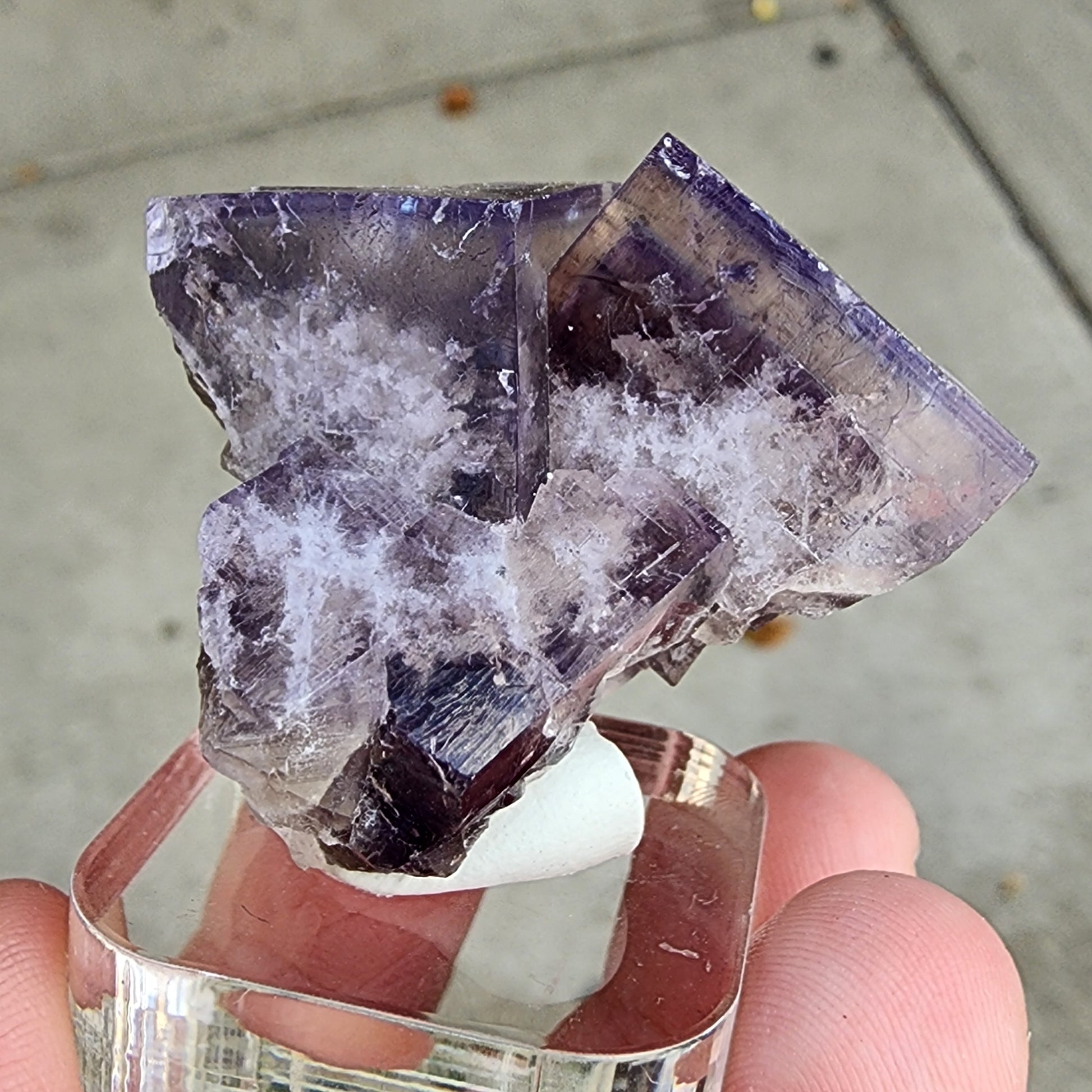 A close-up showcases a hand holding The Crystalary's Fluorite from Cromwell Pocket, Greenlaws Mine in Co. Durham, England. This blocky, translucent purple and white mineral specimen features intricate zoning and a unique geometric shape that glimmers distinctively under daylight color change, elegantly resting on a clear base.