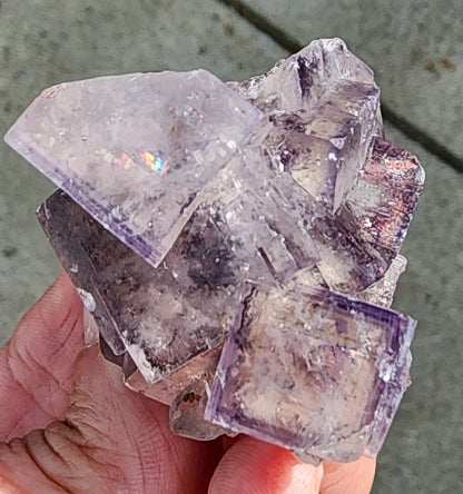 A hand holds a Fluorite cluster from the Cromwell Pocket in Greenlaws Mine, located in Daddry Shield, Stanhope, County Durham. The translucent, purple-tinted crystals boast a rough surface and reflective facets. In the background is a blurred grey concrete surface that evokes the industrial heritage of County Durham. Available from The Crystalary.