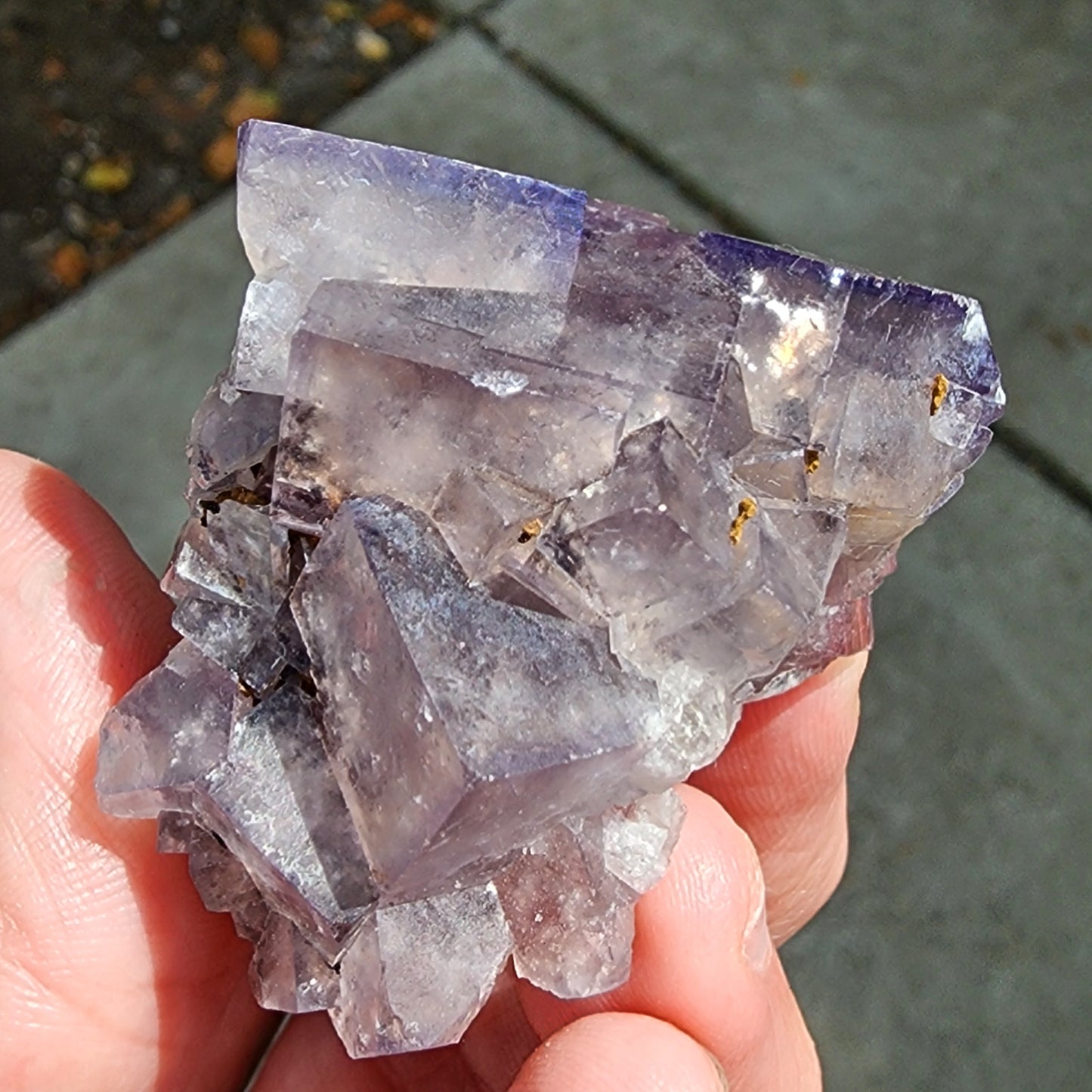 A hand holding a large, light purple fluorite crystal cluster with visible geometric formations. The glassy cluster is semi-transparent and has a reflective surface, catching glimmers of light. The background is a concrete walkway, slightly out of focus. This stunning specimen from "The Crystalary" hails from Cromwell Pocket, Greenlaws Mine in Daddry Shield, Stanhope, County Durham, England.