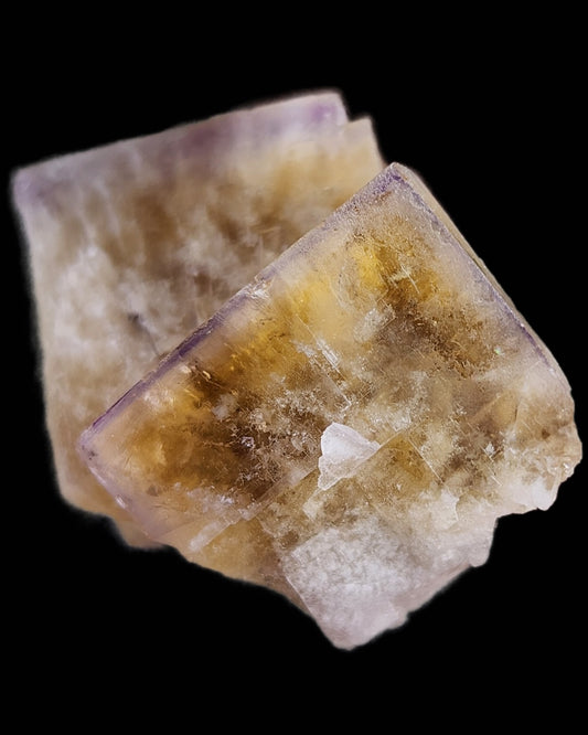 Close-up of two cubic fluorite crystals with a translucent appearance. Sourced from the Cromwell Pocket in the Greenlaws Mine, Daddry Shield, Stanhope, Co. Durham, England, these crystals from The Crystalary display a mix of yellow, purple, and clear hues that showcase their internal structure. The solid black background highlights the vivid colors and textures of the yellow fluorite.