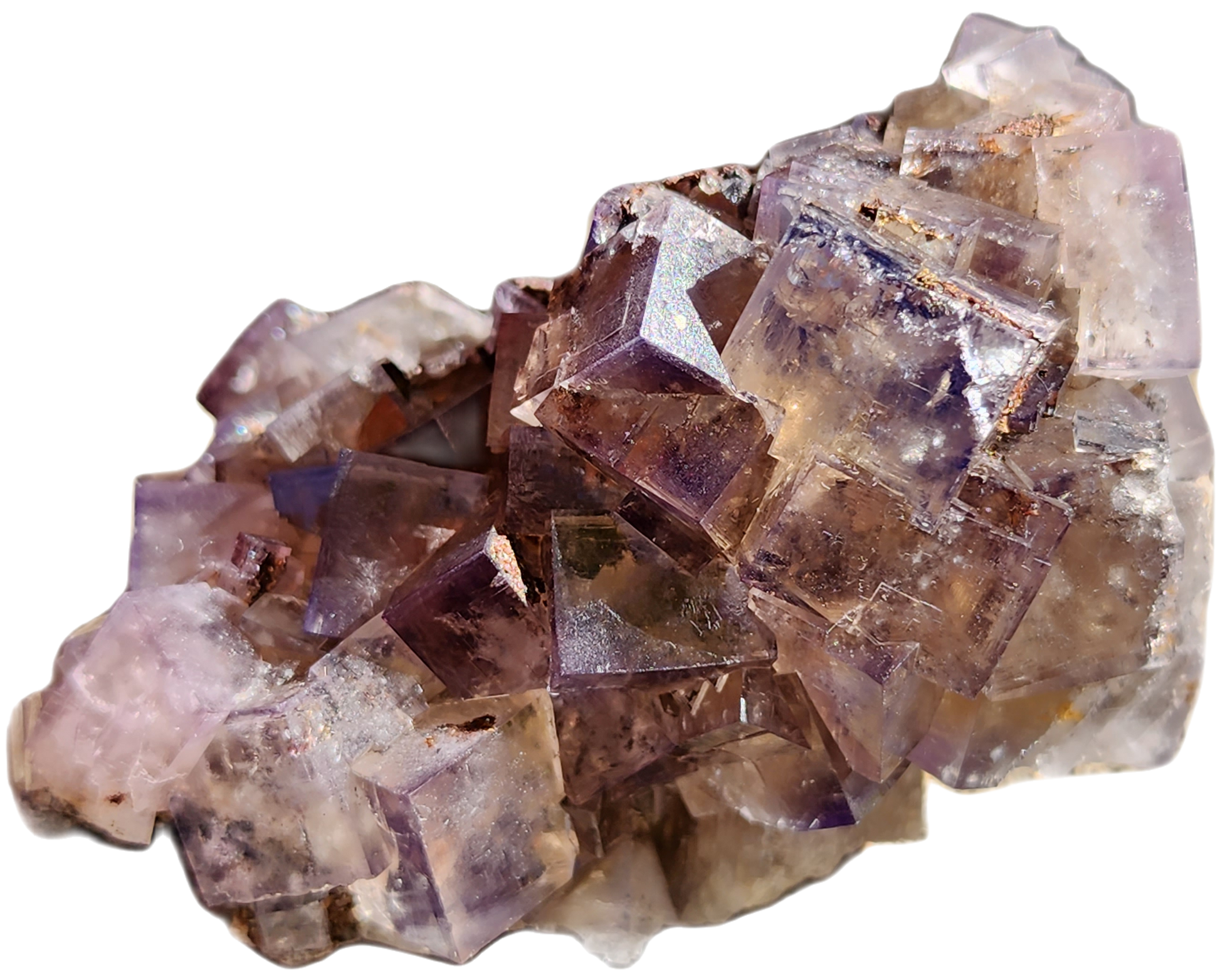 A cluster of "Fluorite, Cromwell's Pocket, Greenlaws Mine, County Durham, England" from The Crystalary showcases transparent and slightly cloudy purple fluorite crystals. The cubic shapes have a glossy surface with light-reflecting edges that highlight their geometric patterns. This stunning specimen brings the beauty of geology to life against a white background.