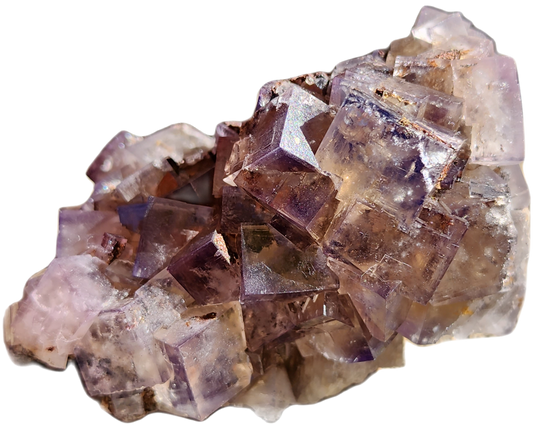 A cluster of "Fluorite, Cromwell's Pocket, Greenlaws Mine, County Durham, England" from The Crystalary showcases transparent and slightly cloudy purple fluorite crystals. The cubic shapes have a glossy surface with light-reflecting edges that highlight their geometric patterns. This stunning specimen brings the beauty of geology to life against a white background.