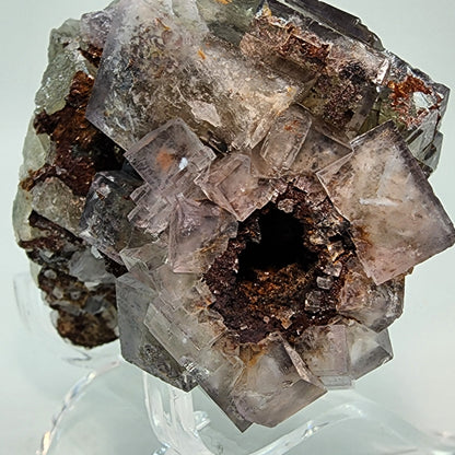 Close-up of a Fluorite specimen from Cromwell's Pocket, Greenlaws Mine, County Durham, England, presented by The Crystalary. The piece showcases clear, well-formed cubic crystals clustered together with a central cavity filled with brownish, earthy materials. The prominent geometric shapes sharply contrast with the rougher textures inside the cavity.