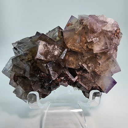 A cluster of translucent cubic fluorite crystals from Greenlaws Mine showcases varying shades of purple with hints of green and brown. The Fluorite, Cromwell's Pocket from County Durham, England, by The Crystalary is displayed on a clear stand against a plain background, emphasizing the sharpness and intricate formations of the crystals.