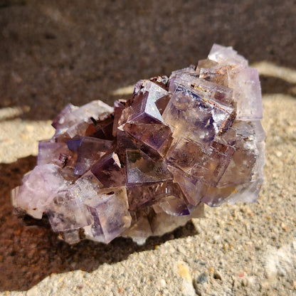 Close-up of a The Crystalary's Fluorite specimen from Cromwell's Pocket, Greenlaws Mine, County Durham, England. The translucent purple fluorite crystals feature cubic formations, set on an earth-toned surface and illuminated by sunlight. The crystals exhibit distinct polygonal shapes with varying shades of purple and clear tones.