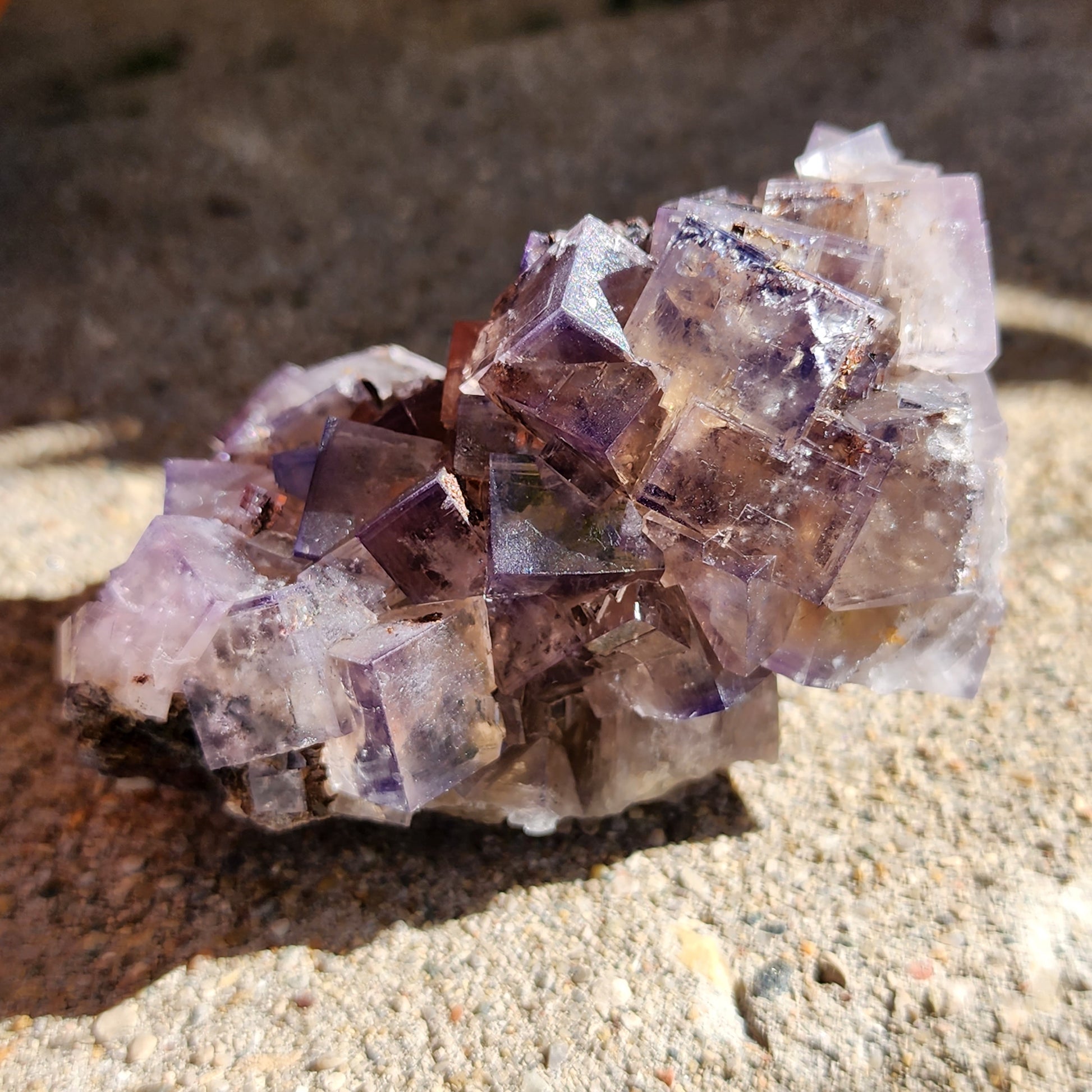 A close-up shot of a cluster of purple cubic fluorite crystals from The Crystalary, specifically the Fluorite from Cromwell's Pocket, Greenlaws Mine, County Durham, England. Resting on a textured surface under bright sunlight, the crystals exhibit a light purple hue with transparent areas and dark inclusions, casting shadows on the ground.