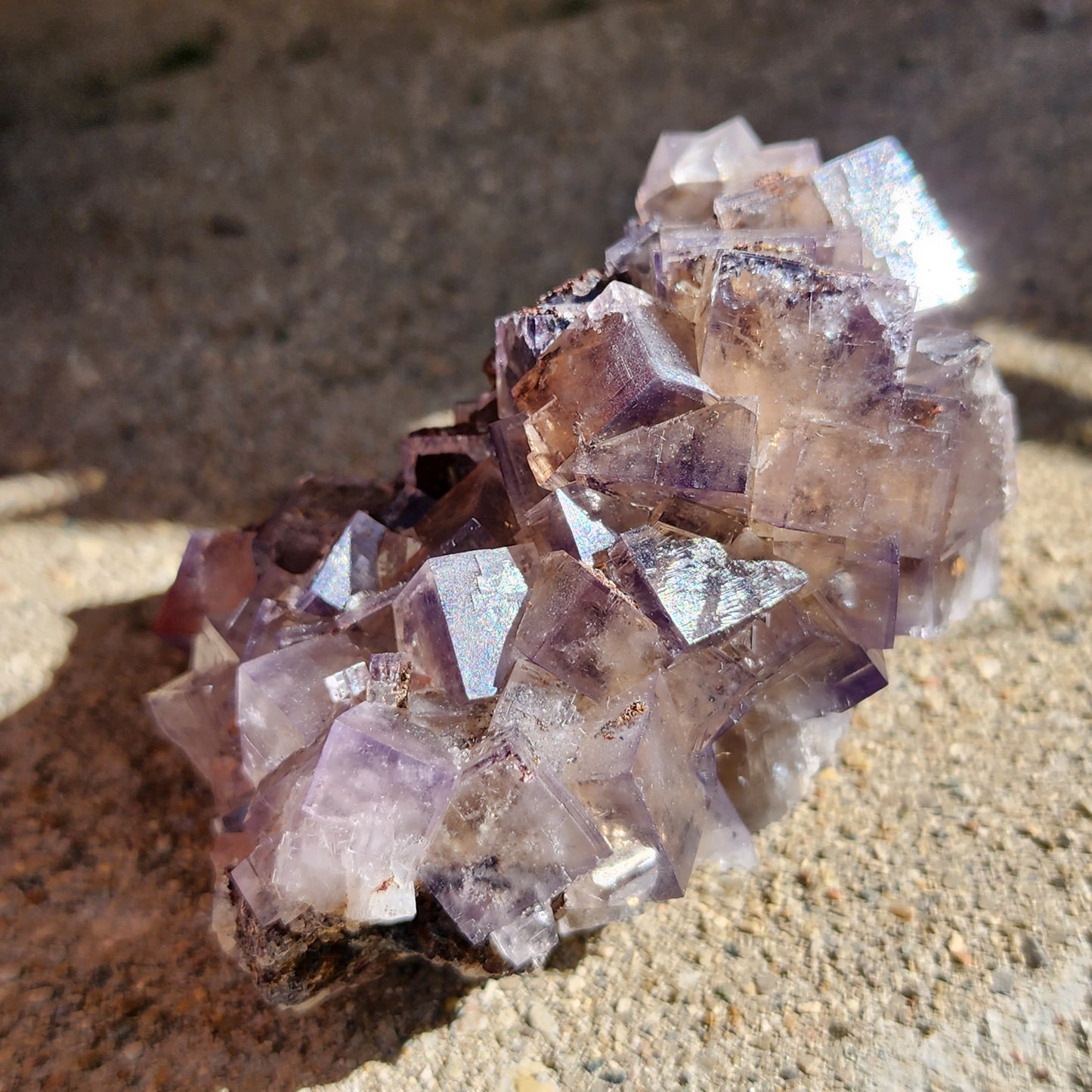 A cluster of cubic crystals, resembling a Cromwell's Pocket specimen from The Crystalary, rests on a textured surface, gleaming in natural sunlight. These Fluorite crystals from Greenlaws Mine in County Durham, England are irregularly shaped, with some exhibiting reflective faces that catch the light beautifully.