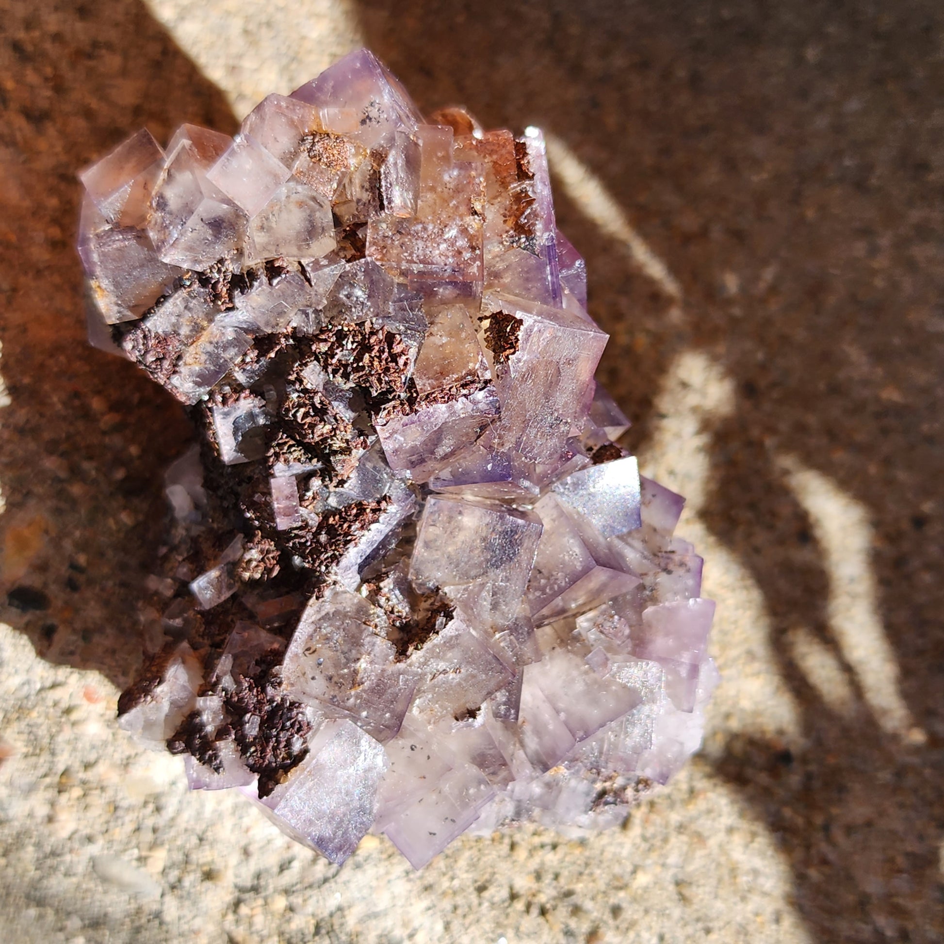 A close-up shot showcases a raw mineral specimen from The Crystalary, featuring purple cubic crystals of Fluorite. These crystals, originating from Cromwell's Pocket in Greenlaws Mine, County Durham, England, are clustered together against a textured grayish surface. Shadows cast by the crystals enhance the image's depth, while sunlight highlights their translucence and vibrant color.