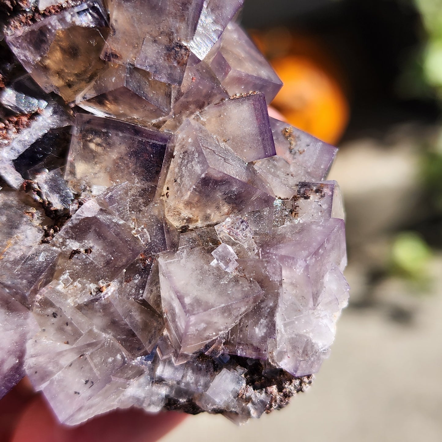 Close-up image of a cluster of translucent **Fluorite** crystals from **Cromwell's Pocket, Greenlaws Mine, County Durham, England** by **The Crystalary**. The crystals have cubic shapes and catch the light, revealing various shades of purple and clear sections. The background is blurred, making these specimens the central focus.