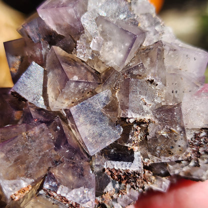 Close-up of a cluster of cubic Fluorite crystals from Greenlaws Mine in County Durham, England. The semi-transparent crystals display a mix of light purple and clear hues, showcasing well-defined geometric shapes with hints of brown mineral deposits in between. This stunning specimen from The Crystalary's Cromwell’s Pocket collection is remarkably detailed.