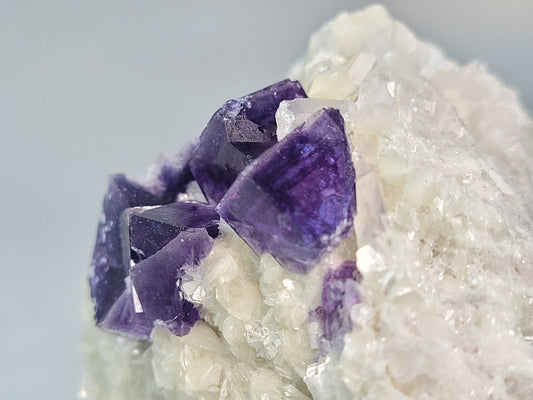 Close-up of a mineral specimen with deep purple fluorite crystals embedded in a bed of white crystalline formations. The sparkling purple crystals from the Fluorite, Detroit City Mine, Alma Mining District, Park Co., Colorado by The Crystalary glisten under light, showcasing their translucent quality and angular edges, contrasting beautifully with the surrounding white crystals.