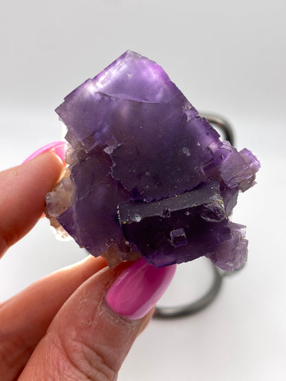 A person's hand with purple-painted nails is holding a vibrant purple fluorite crystal from The Crystalary, ex. Ben Clement - Cave in Rock, Hardin County, Illinois. Set against a white background, the specimen features various facets and rough, jagged edges reminiscent of amethyst crystals.