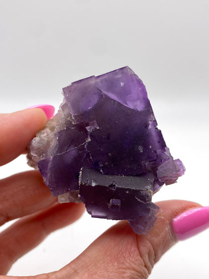 A hand with pink nail polish holds a striking purple Fluorite crystal, ex. Ben Clement- Cave in Rock, Hardin County, Illinois from The Crystalary, featuring clear cubic formations reminiscent of Cave in Rock treasures, against a plain white background.