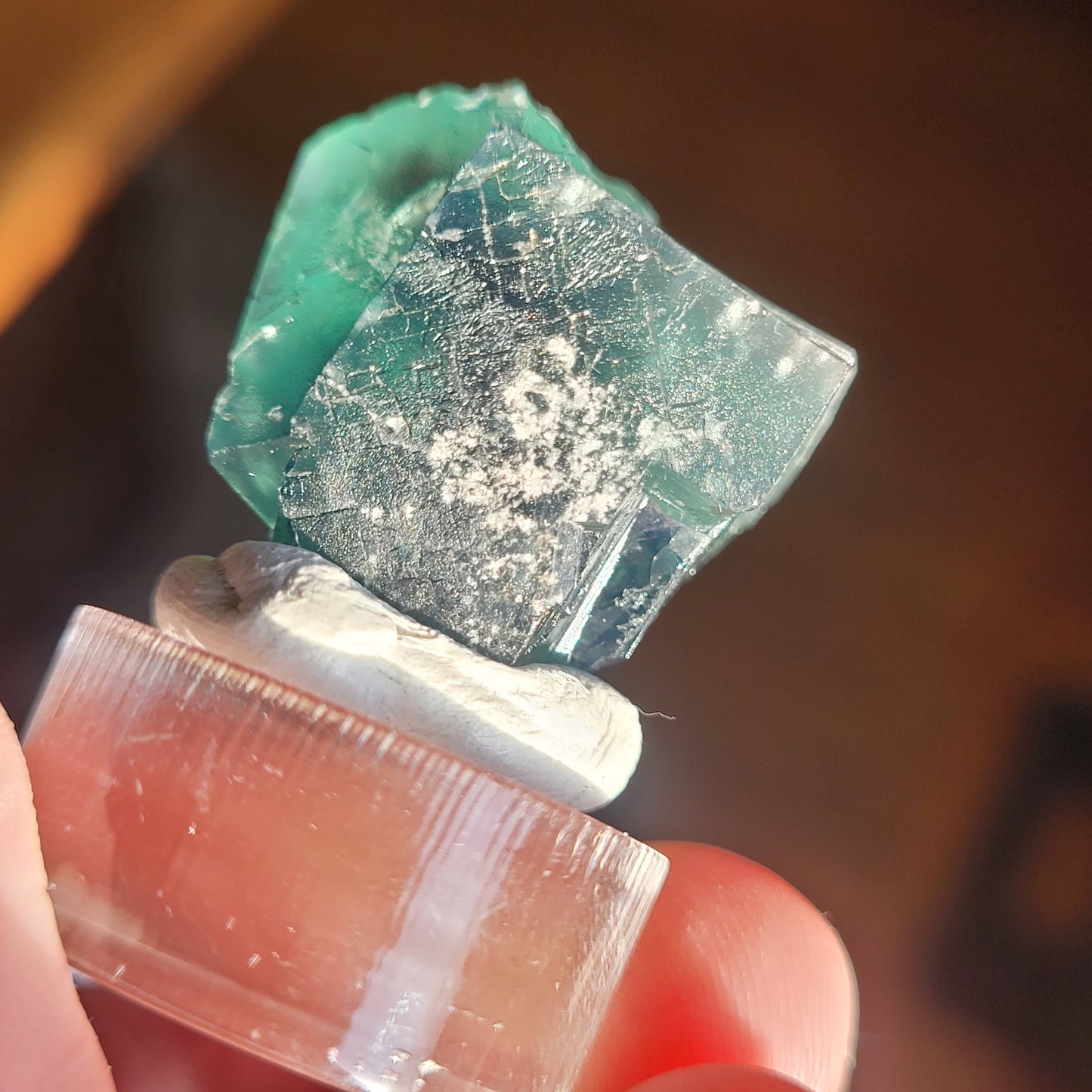 A close-up of a hand holding The Crystalary's Fluorite - Excavator Terminator, Lady Annabella, Co. Durham, England mini specimen on a transparent, cylindrical display stand. The 19-gram greenish-blue mineral appears to have a rough, slightly translucent surface with visible imperfections and textures. The background is dark and out of focus.