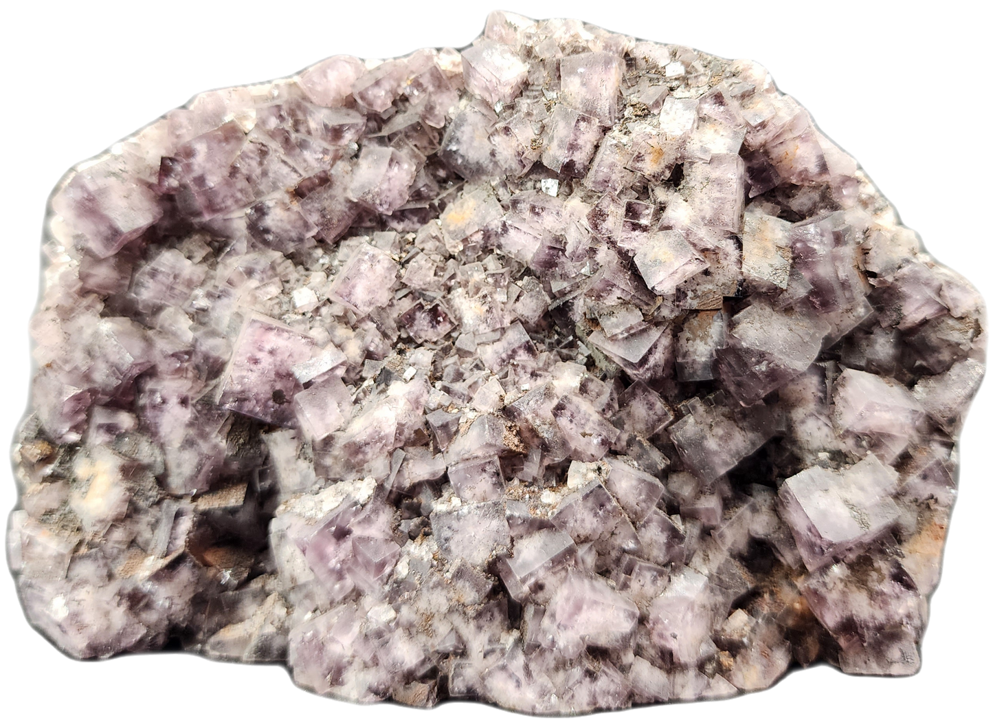 Here's an image of "Fluorite, Funky February" from The Crystalary. This cluster of cubic purple fluorite crystals, sourced from Greenlaws Mine in Co. Durham, England, features densely packed crystals that display a spectrum of light to dark purple hues with a slightly translucent appearance. The rock matrix reveals an irregular and crystalline surface.