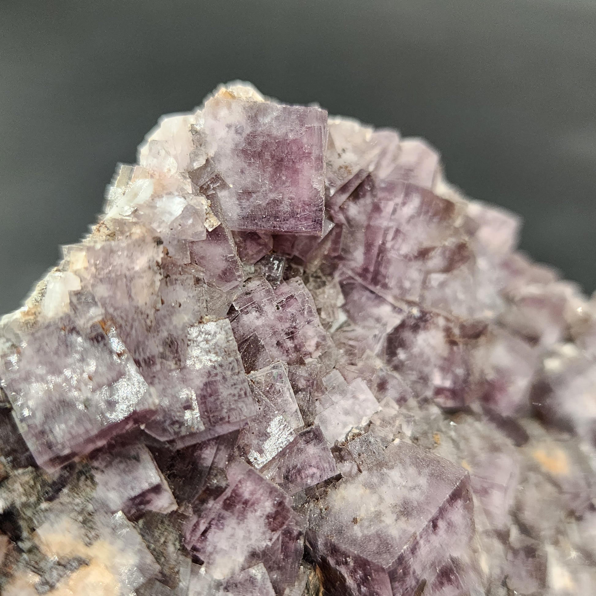 A close-up image of a cluster of translucent cubic crystals from the Greenlaws Mine in Co. Durham, England, featuring a light purple hue. The crystals are tightly packed with sharp edges, and some surfaces reflect light beautifully. This Fluorite specimen is part of The Crystalary's Funky February pocket collection. The background is a blurred dark gray.