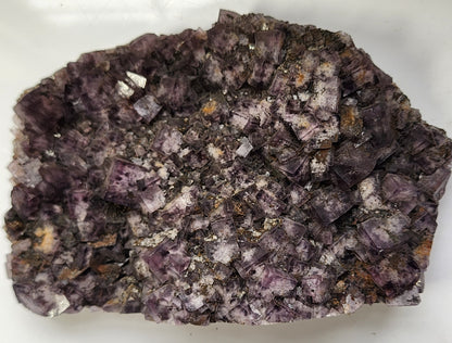 A stunning display of Fluorite from the Funky February pocket, sourced from Greenlaws Mine in Co. Durham, England by The Crystalary. This piece features a cluster of cubical purple crystals with hints of yellow and metallic inclusions, all set against a white background. The varying sizes and deep purple hues exhibit both translucent and opaque sections, making it a truly unique specimen.