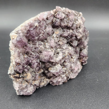 A large cluster of light purple cubic Fluorite crystals, featuring a rough texture, is displayed against a plain black background. These translucent gems from The Crystalary’s "Funky February" collection, sourced from Greenlaws Mine in Co. Durham, England, exhibit varying shades of purple with some white inclusions.