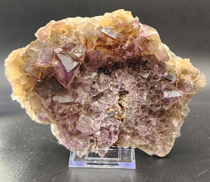 A large, rough chunk of purple Fluorite from the Funky February Pocket at Greenlaws Mine, Co Durham, England features intricate geometric formations and a mixture of translucent shades. This exquisite piece by The Crystalary sits on a clear display stand against a dark background, highlighting its natural beauty and multifaceted texture.