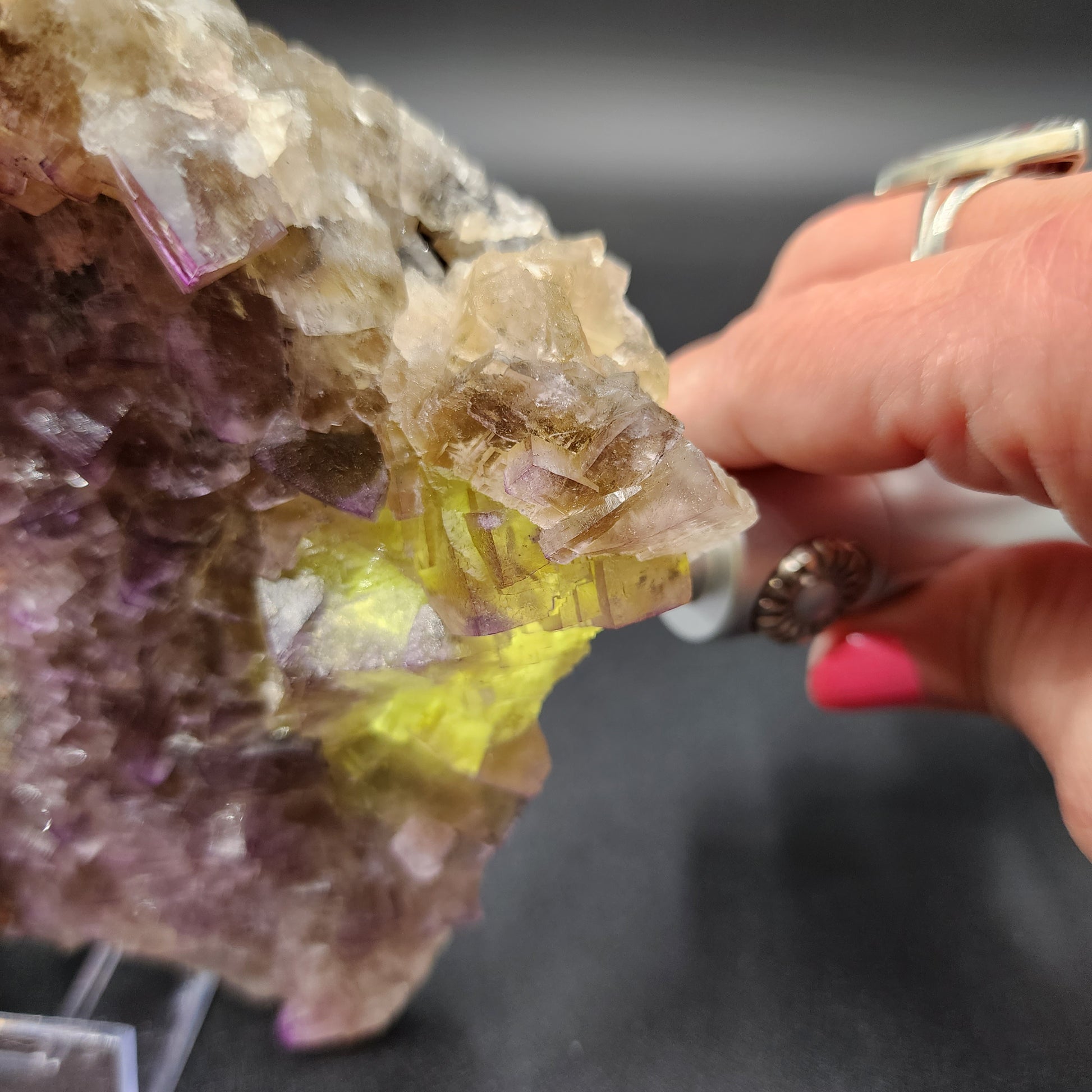 A hand with pink-painted nails holds a flashlight against a large, rough crystal from "The Crystalary," specifically sourced from the Funky February Pocket in Greenlaws Mine, Co Durham. The light reveals vibrant yellow and purple hues within the otherwise opaque Fluorite mineral. The background is out of focus, highlighting the vivid colors of the stone from Co. Durham.