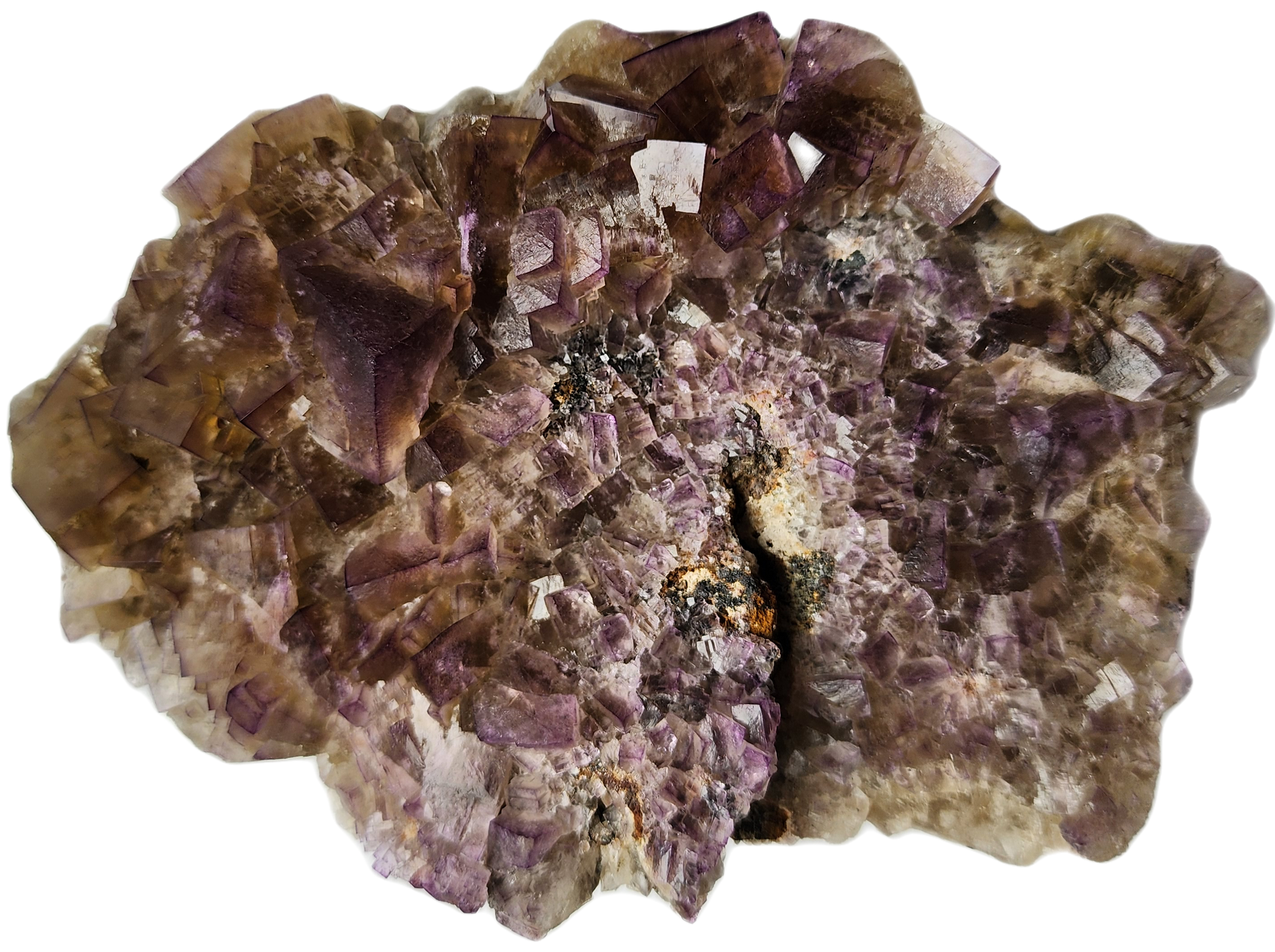 A detailed close-up of the Fluorite from the Funky February Pocket at Greenlaws Mine, Co. Durham, offered by The Crystalary, reveals crystalline structures predominantly purple with hints of brown and grey. Amidst the intricate patterns and varying shapes, the vibrant yellow core stands out, making the inner texture even more mesmerizing.