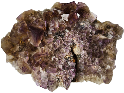 A detailed close-up of the Fluorite from the Funky February Pocket at Greenlaws Mine, Co. Durham, offered by The Crystalary, reveals crystalline structures predominantly purple with hints of brown and grey. Amidst the intricate patterns and varying shapes, the vibrant yellow core stands out, making the inner texture even more mesmerizing.