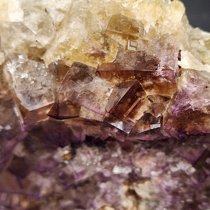 Close-up of a specimen from The Crystalary's Fluorite- Funky February Pocket, sourced from Greenlaws Mine in Co. Durham, England. This mineral features predominantly purple cubic fluorite crystals that transition to vibrant yellow and clear shades towards the top, creating a striking layered effect. The surface showcases a mix of translucent and solid sections, characteristic of finds from this region.