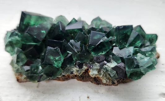 A cluster of deep green cubic fluorite crystals from the renowned Greedy Hog Pocket, Diana Maria mine, Co. Durham, England sits on a rocky brown and gray matrix. The crystals have clear, sharp edges and their glossy surfaces reflect light, creating a sparkling effect. The background is a plain white surface. This stunning piece is offered by The Crystalary.