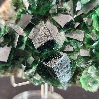 Close-up of a cluster of dark green Fluorite- Greedy Hog Pocket crystals from the Diana Maria mine in Co. Durham, England, showcasing a cubic structure. The Crystals by The Crystalary have a translucent quality with visible surface textures and imperfections. An out-of-focus background emphasizes their sharp edges and vivid green color.