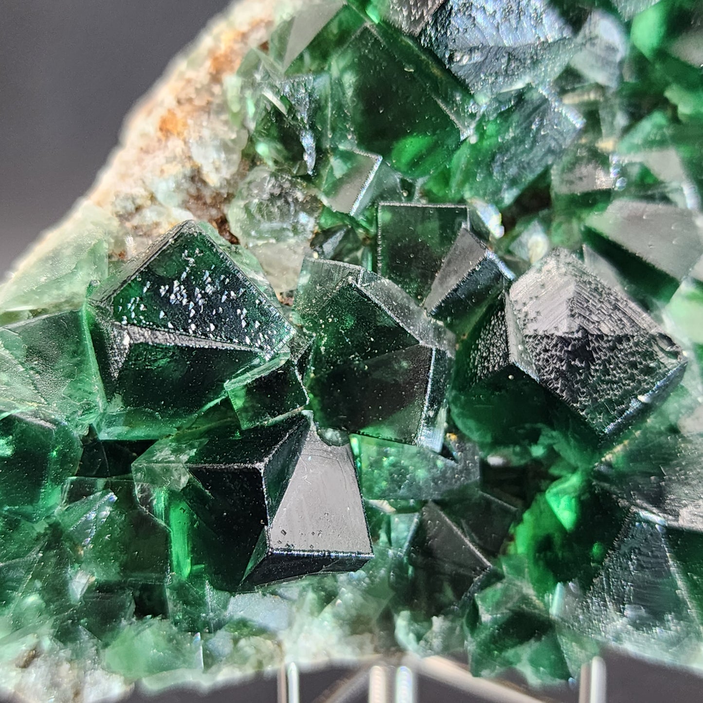 Close-up image of a raw mineral specimen featuring dark green cubic crystals with reflective surfaces. The crystals, identified as "Fluorite - Greedy Hog Pocket, Diana Maria, Co. Durham, England" from The Crystalary, appear to be clustered together, growing from a rocky matrix. The background is blurred, emphasizing the vibrant green crystals.