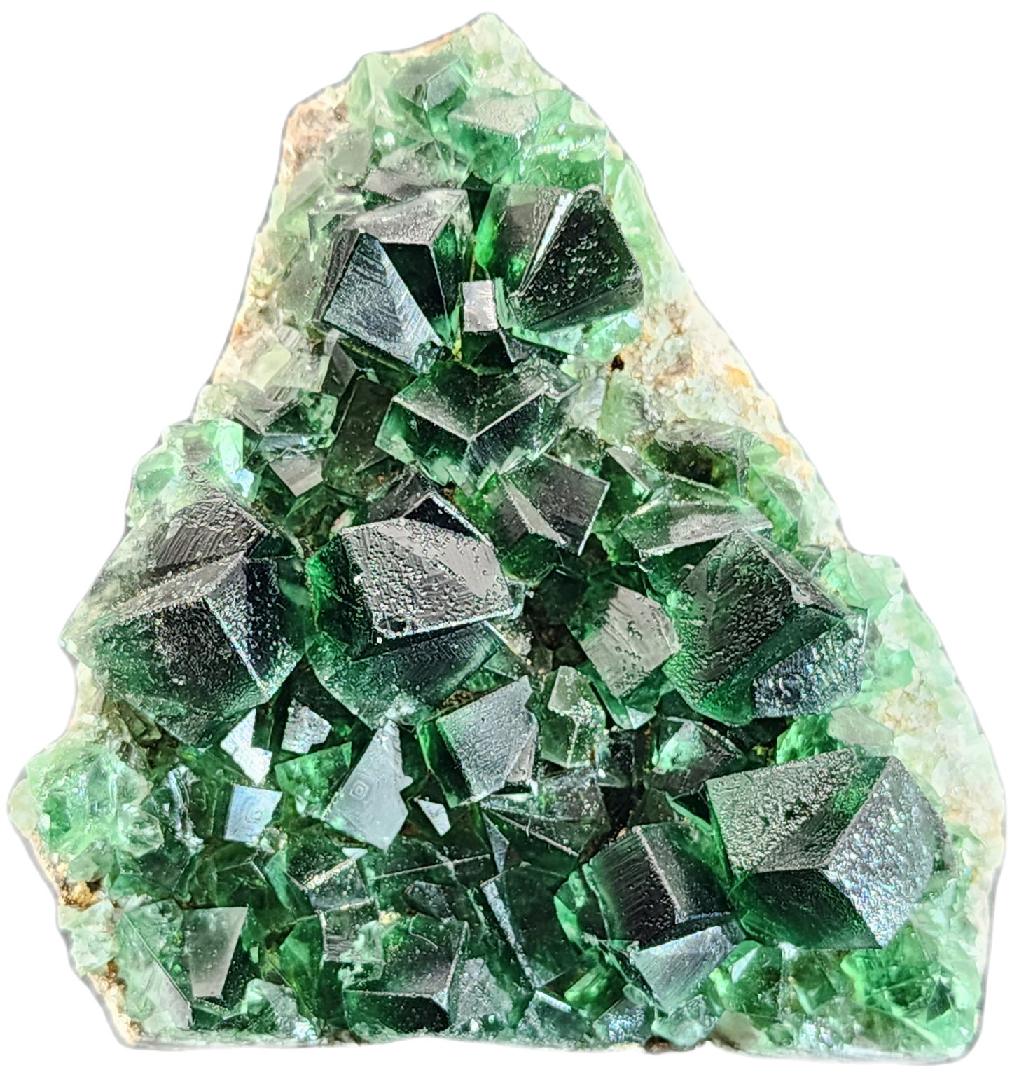 An image of a vibrant Fluorite- Greedy Hog Pocket specimen, featuring deep green cubic fluorite crystals clustered together in a light-colored rocky matrix. The crystals, sourced from the Diana Maria mine in Co. Durham, England, are well-formed with sharp edges and a glassy luster. This exquisite piece is brought to you by The Crystalary.