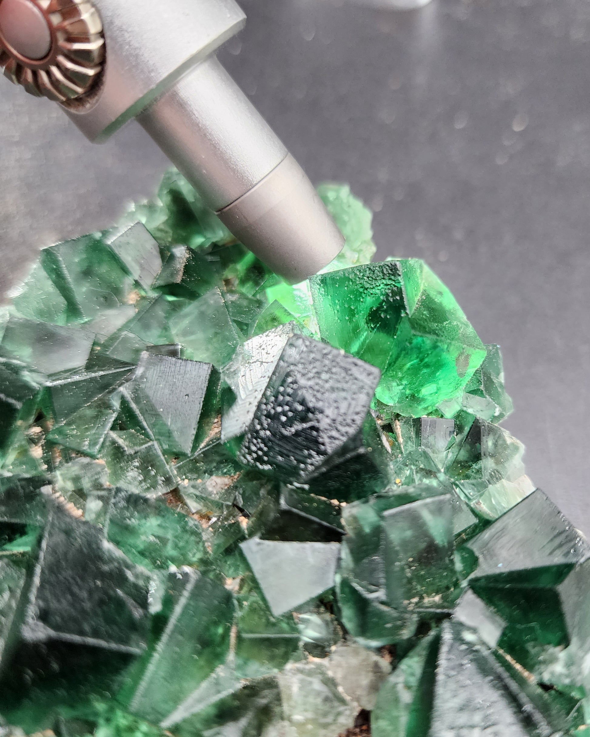 The Crystalary's Fluorite-Greedy Hog Pocket crystals from the Diana Maria mine in Co. Durham, England are being examined under a metallic tool on a dark surface. These green cubic crystals have a shiny, translucent appearance and come in various sizes, reflecting light in different directions as the tool directs a focused beam onto them.