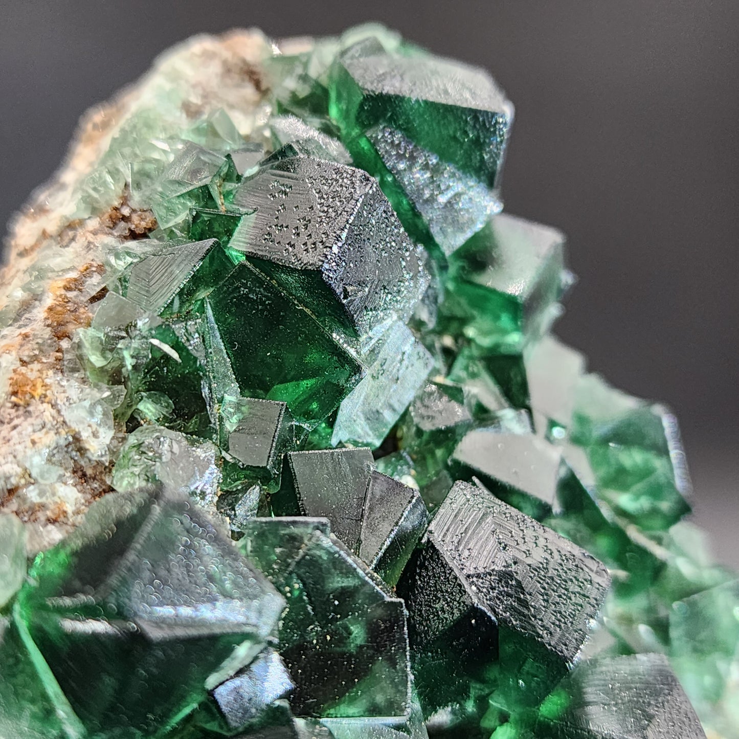 A close-up photo showcases The Crystalary's vibrant green Fluorite from the Greedy Hog Pocket at the Diana Maria mine in Co. Durham, England. The well-formed cubic crystals rest on a rock matrix and exhibit a translucent appearance with some natural imperfections. The background is blurred, emphasizing the detailed texture of these remarkable crystals.