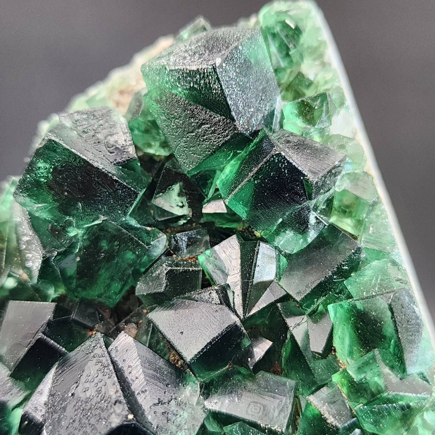 Close-up image of several deep green cubic crystals, presumed to be Fluorite- Greedy Hog Pocket from the Diana Maria mine in Co. Durham, England, clustered together with smooth and glossy surfaces. The crystals are distinctively sharp-edged and have a translucent quality with variations in the intensity of the green hue. This exquisite specimen is part of The Crystalary collection.