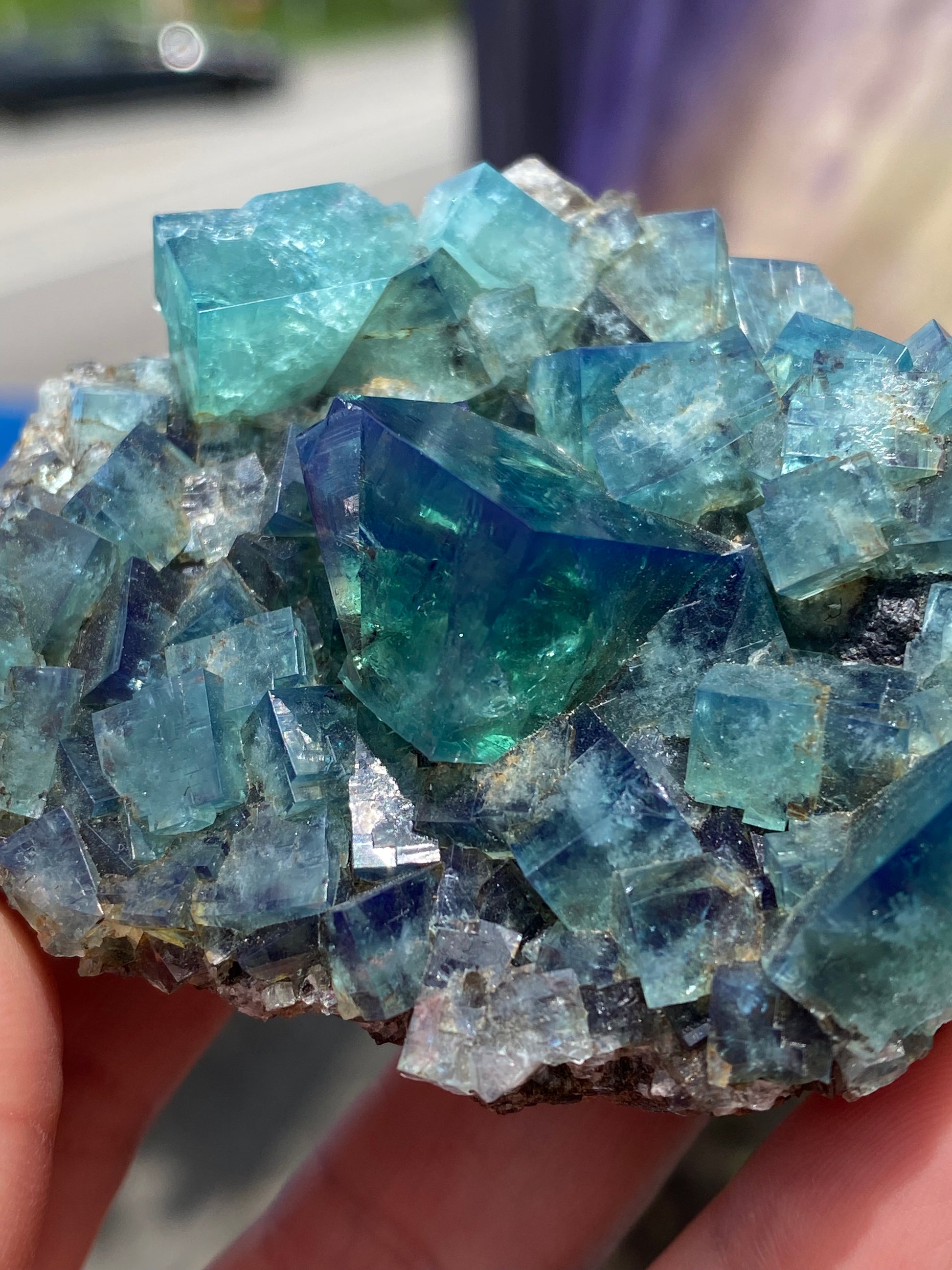 A close-up photograph showcases a hand holding a cluster of Fluorite- Heavy Metal Pocket sourced from the Diana Maria Mine in Weardale, Co Durham, UK. The cubic crystals, available from The Crystalary, display various shades of blue and green with a semi-transparent quality. The background is blurred, drawing focus to the vibrant minerals and their UV reactivity.