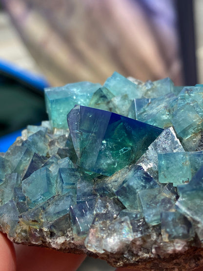 A close-up of a raw Fluorite- Heavy Metal Pocket cluster from the Diana Maria Mine, Weardale, Co Durham, UK, with translucent blue and green crystals. The crystals are angular, varying in size, and glisten under the light, revealing intricate internal structures. The background is blurred, emphasizing the crystal's sharp details. This exquisite piece is offered by The Crystalary.