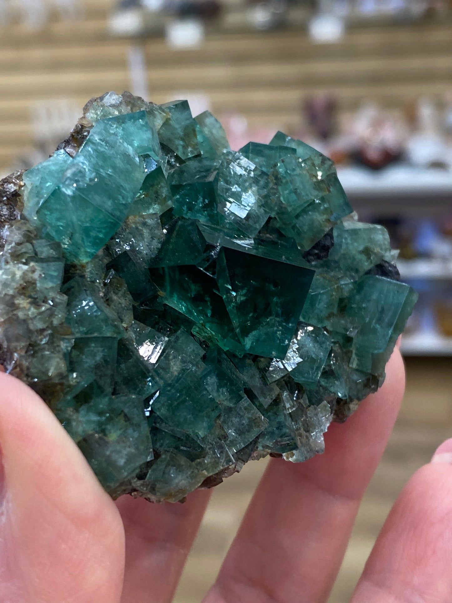 A close-up of a hand holding a cluster of "Fluorite- Heavy Metal Pocket" crystals from the Diana Maria Mine in Weardale, Co Durham, UK. The crystals, sold by The Crystalary, are cubic in shape and exhibit a deep green color. The background is blurred, showing what seems to be a store display with various items on shelves.