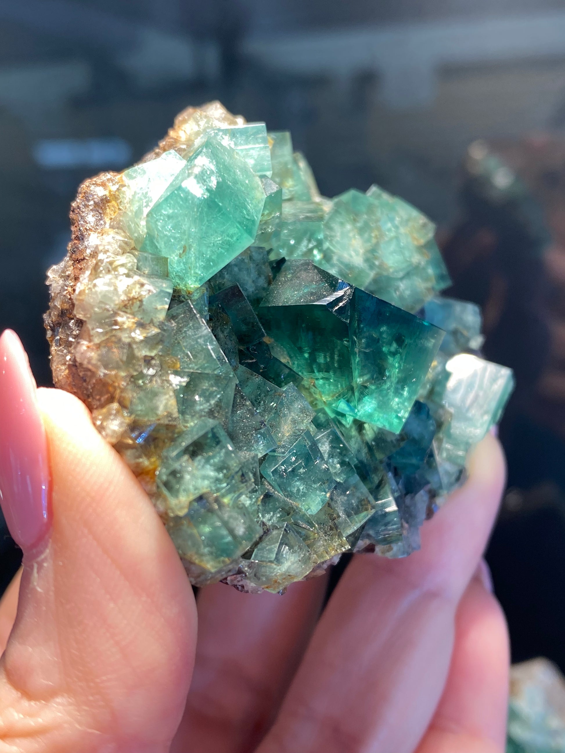 A close-up image of a hand holding The Crystalary's "Fluorite- Heavy Metal Pocket" from the Diana Maria Mine in Weardale, Co Durham, UK, showcasing its transparent and shiny cubic crystals. The person's fingernails are manicured and painted in a light pink color. The background is blurred, highlighting the mineral's details.