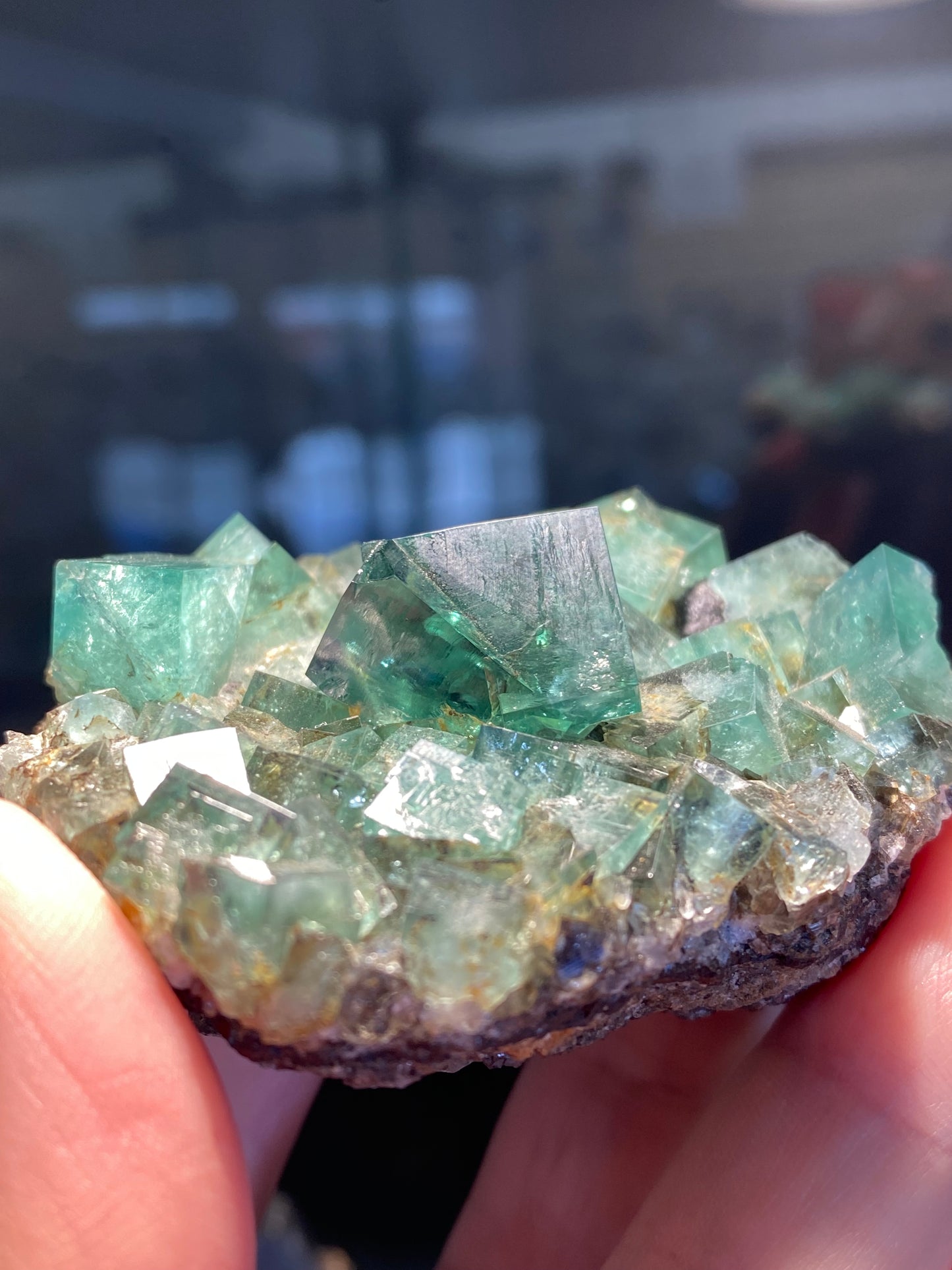 A hand holding a cluster of green lucid fluorite crystals from The Crystalary's "Fluorite- Heavy Metal Pocket" collection, sourced from the Diana Maria Mine in Weardale, Co Durham, UK. The crystals are well-formed, transparent, and cubic in shape with a beautiful emerald hue. The cluster is held against a blurred background, highlighting the clarity and structure of this exquisite find.