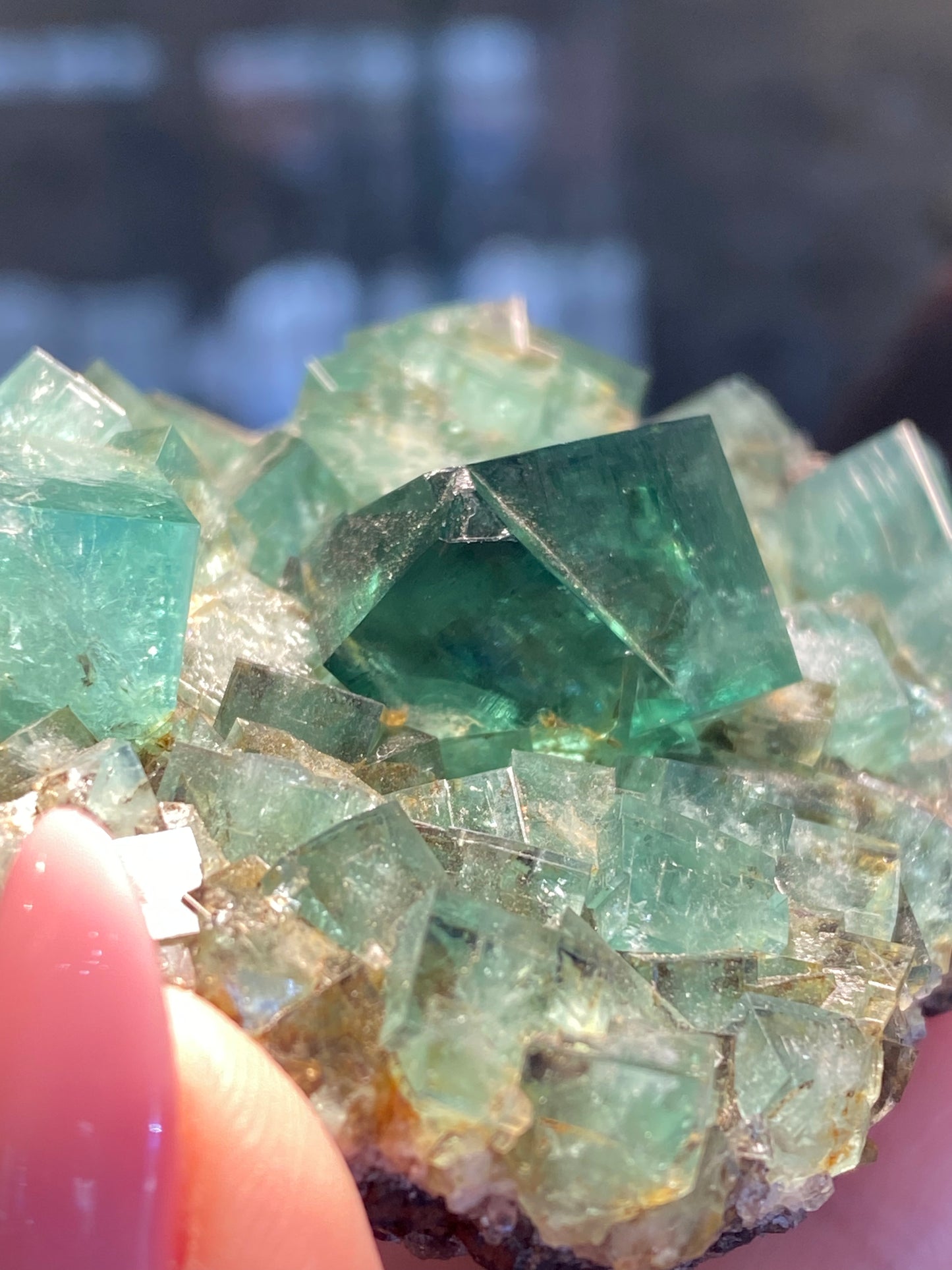 A close-up image of a cluster of green Fluorite- Heavy Metal Pocket crystals from the Diana Maria Mine in Weardale, Co Durham, UK. The crystals have a cubic shape with clear, reflective surfaces. A person's hand with a pink manicure is holding the specimen at the bottom left corner of the image, highlighting its UV reactivity and vibrant color under certain lighting conditions. This exquisite piece is part of The Crystalary collection.