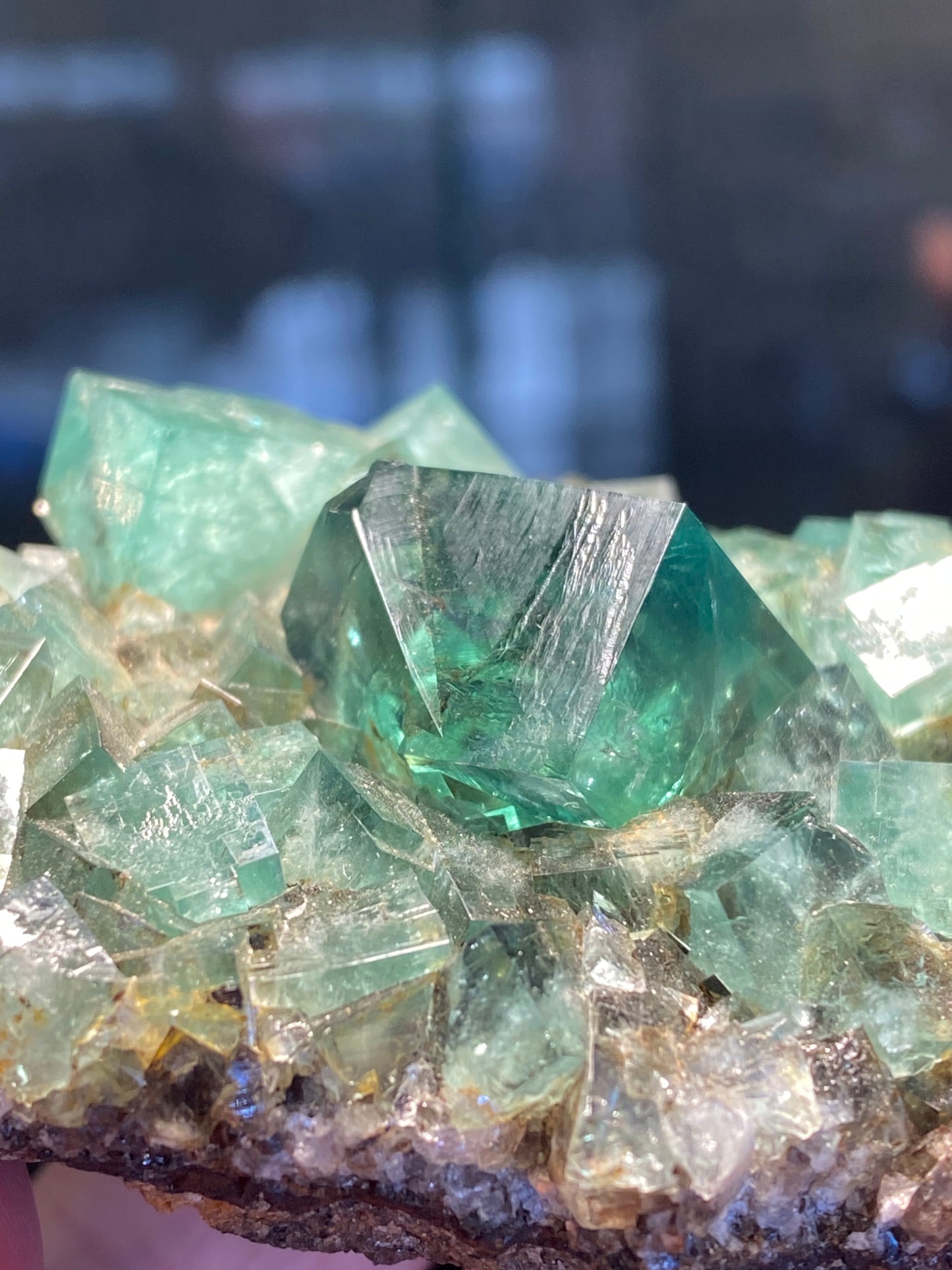 Close-up of a cluster of green lucid fluorite crystals from the Fluorite- Heavy Metal Pocket, Diana Maria Mine, Weardale, Co Durham, UK by The Crystalary. The transparent crystals feature sharp edges and smooth surfaces, with some areas reflecting light. The background is blurred, emphasizing the detailed texture of the mineral and hinting at its UV reactivity.