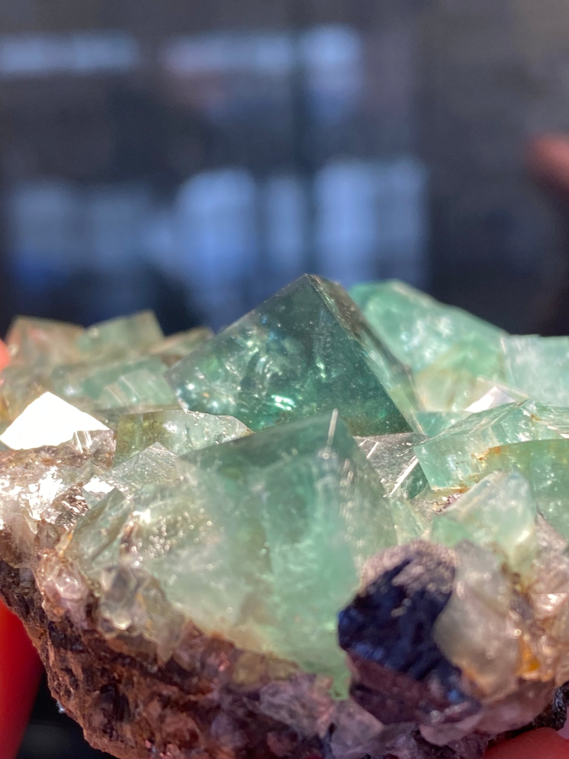 A close-up photo of a cluster of green lucid Fluorite- Heavy Metal Pocket crystals from Diana Maria Mine, Weardale, Co Durham, UK by The Crystalary on a rocky base. The background is blurred, directing attention to the intricate details and varying translucency of the crystals, which exhibit stunning UV reactivity.