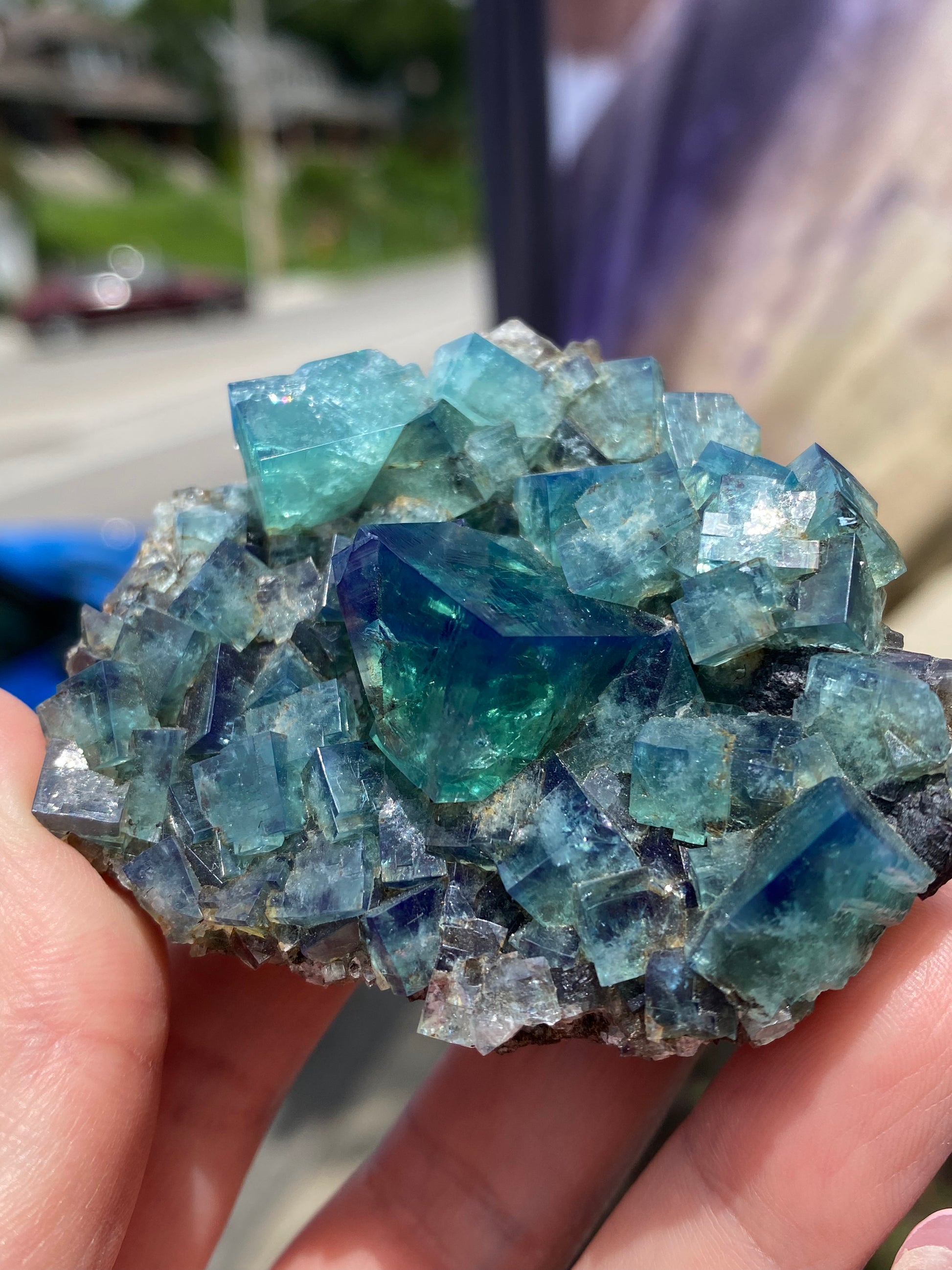 A hand holding a cluster of vibrant green Fluorite-Heavy Metal Pocket crystals from the Diana Maria Mine in Weardale, Co Durham, UK. The sharply defined crystals reflect light beautifully, showcasing their clear, glassy structure. The background is blurred, focusing attention on this stunning mineral specimen from The Crystalary.