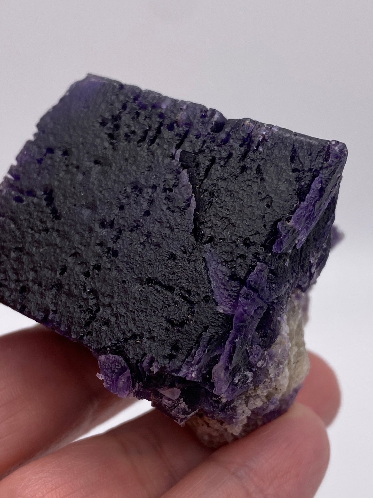 A close-up of a person's hand holding a large, dark purple Fluorite- Hill-Ledford Mine crystal from Cave-In-Rock, Hardin County. The mineral, with its rough, jagged edges and textured surface, stands out against a plain light gray background. This vibrant piece is brought to you by The Crystalary.