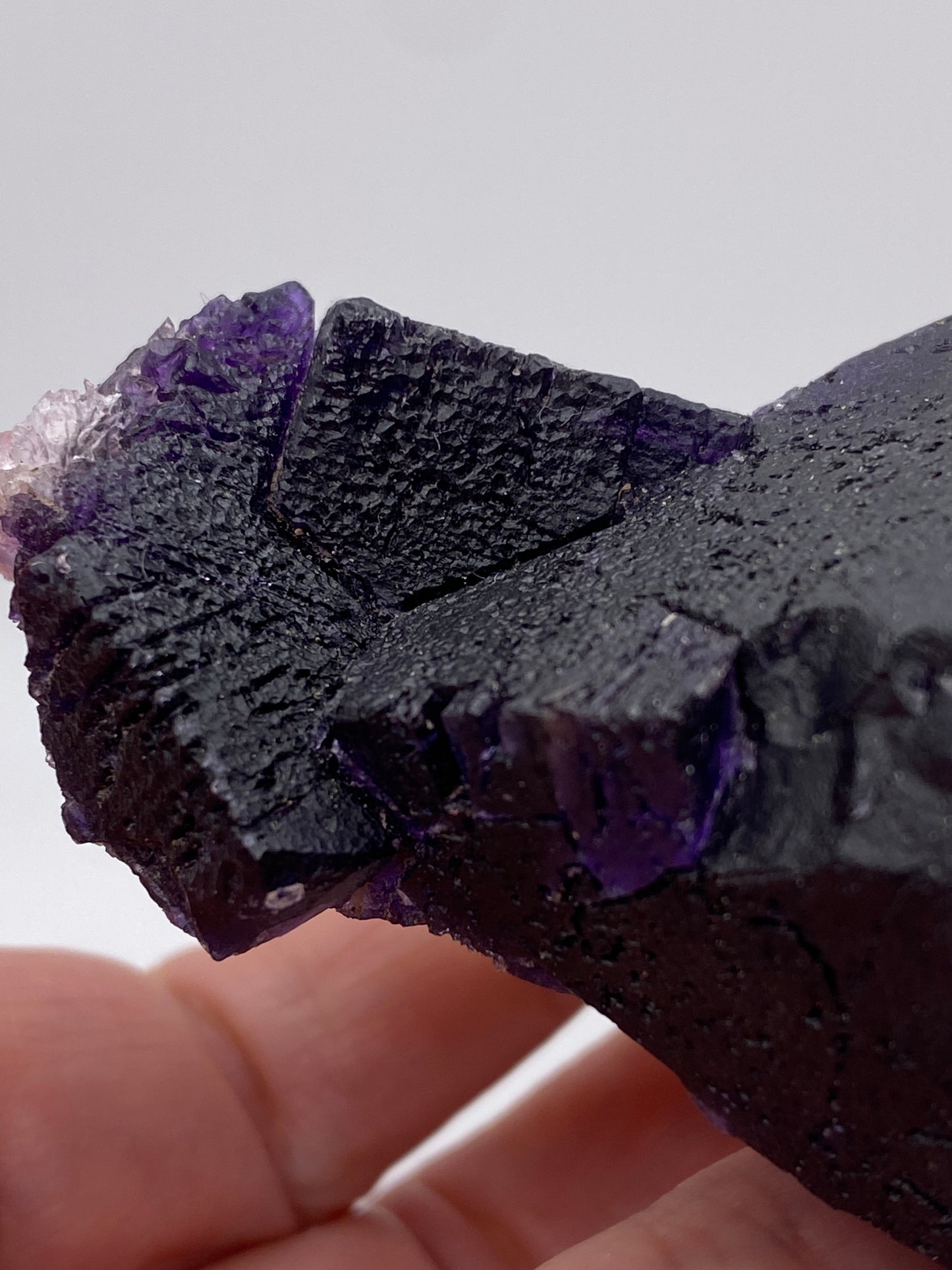 A hand holding a dark purple, rough-edged fluorite from The Crystalary, with deep hues and a textured surface. The mineral's crystalline structure is visible, highlighting its natural, unpolished form. Mined from Hill-Ledford Mine in Cave-In-Rock, Hardin County, Illinois, USA, it stands out prominently against the plain white background.