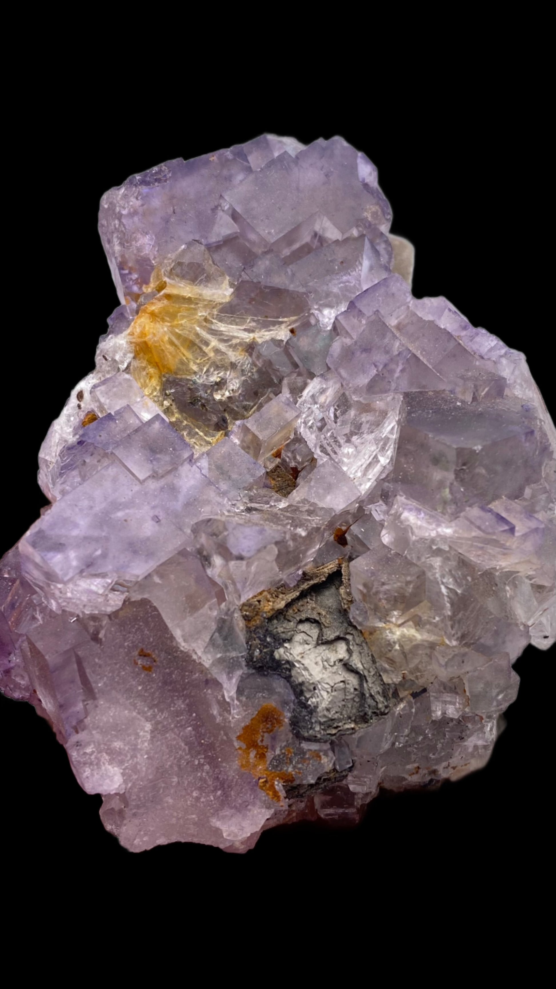 A close-up of a raw fluorite specimen from The Crystalary showcases cubic, transparent, and translucent crystals varying in color from light purple to clear. Some areas exhibit hints of orange and dark mineral inclusions. The solid black background highlights the intricacies of the crystal structure from Lead Hill, Cave-In-Rock, Hardin County, Illinois, USA.